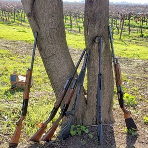 Meet your Posher, Rick